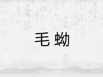 毛蚴