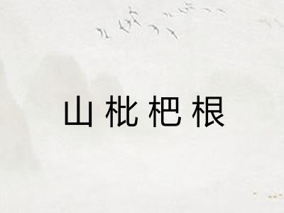 山枇杷根