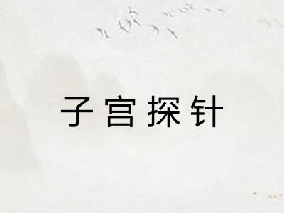 子宫探针