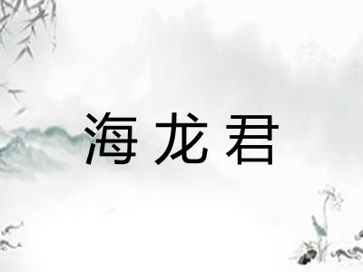 海龙君