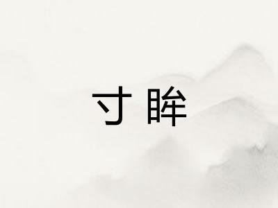 寸眸