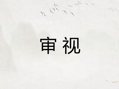 审视