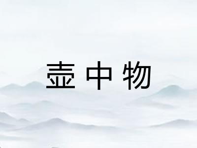 壶中物