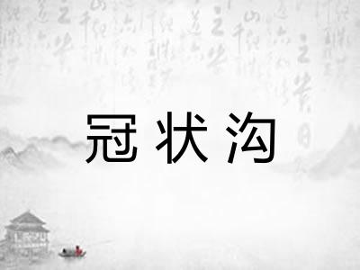 冠状沟