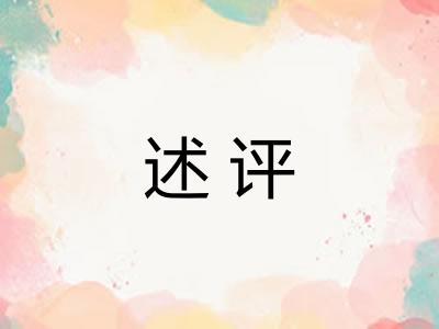 述评