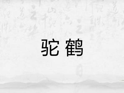 驼鹤