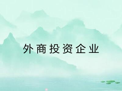 外商投资企业