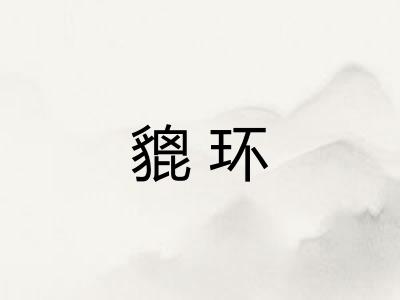 貔环