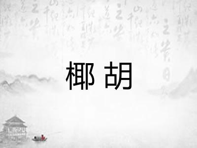椰胡