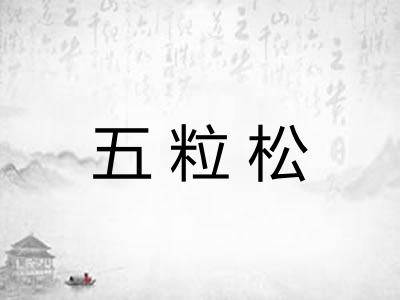 五粒松