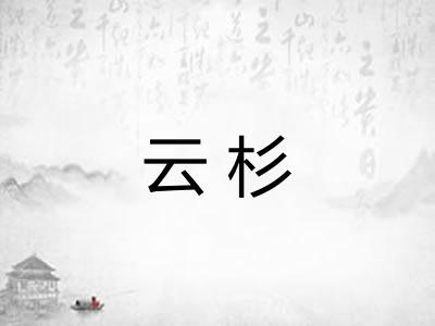 云杉
