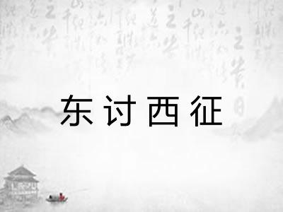 东讨西征