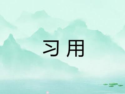 习用