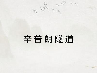 辛普朗隧道