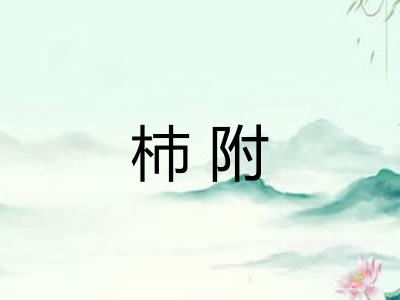 杮附