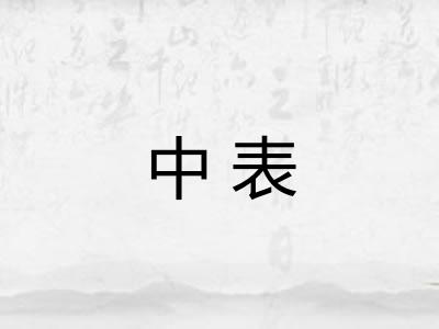 中表