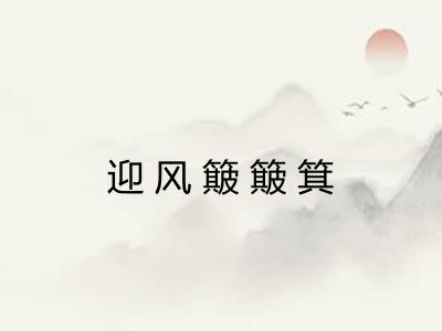 迎风簸簸箕