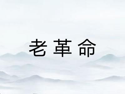 老革命