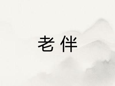 老伴