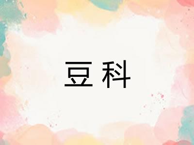 豆科