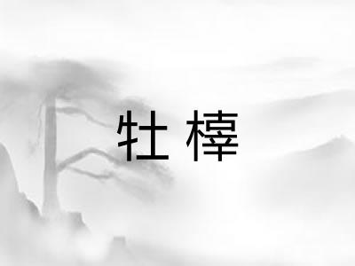 牡橭
