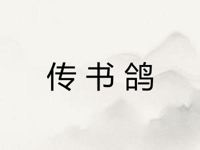传书鸽