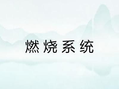 燃烧系统