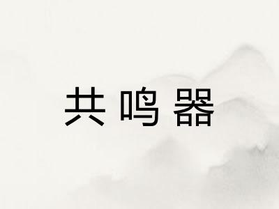 共鸣器