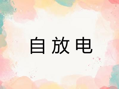 自放电