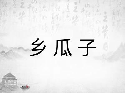 乡瓜子