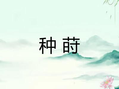 种莳