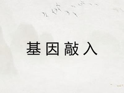 基因敲入 基因敲入
