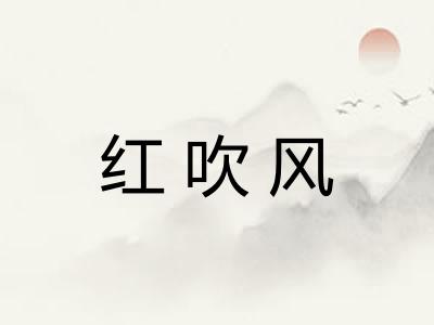 红吹风