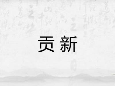 贡新