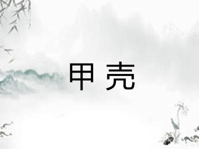 甲壳 甲壳