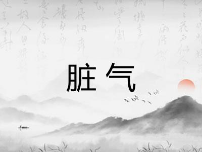 脏气