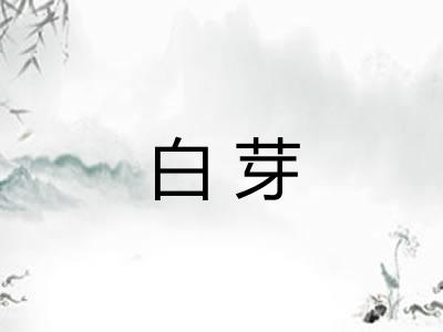 白芽