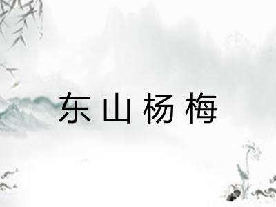 东山杨梅