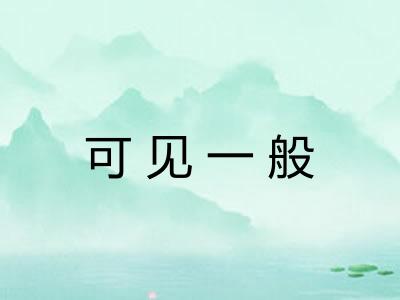 可见一般