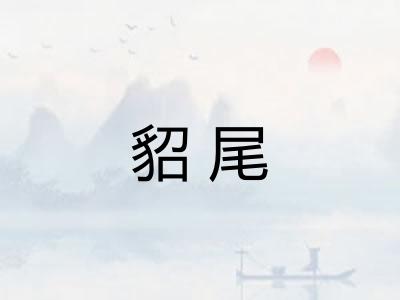 貂尾