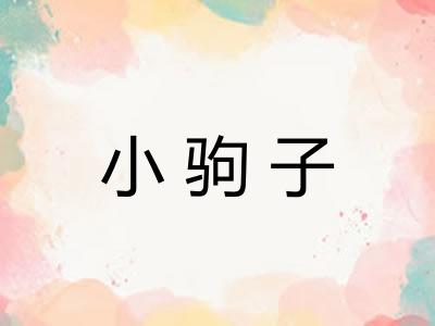 小驹子