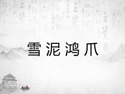 雪泥鸿爪