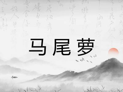 马尾萝