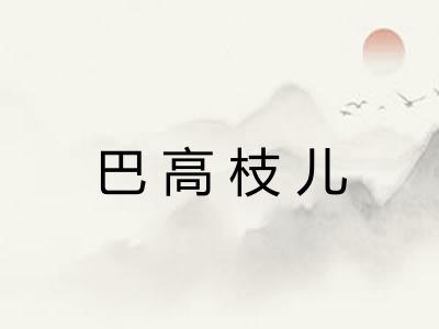 巴高枝儿