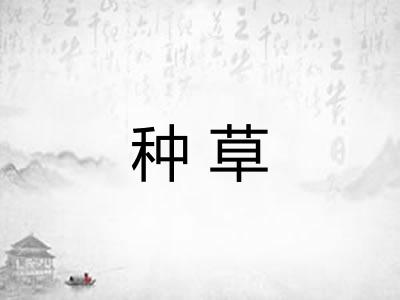种草