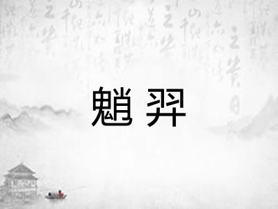 魈羿