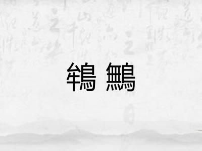 鴾鷡