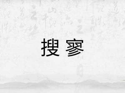 搜寥