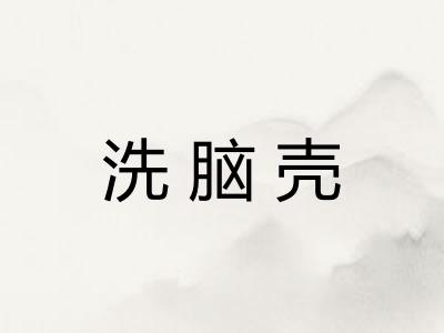 洗脑壳