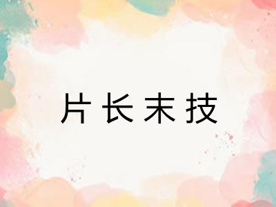 片长末技
